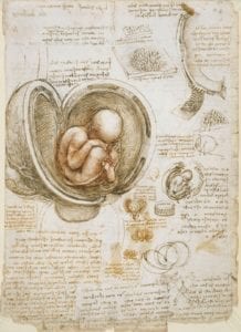 Leonardo da Vinci - The Lancet