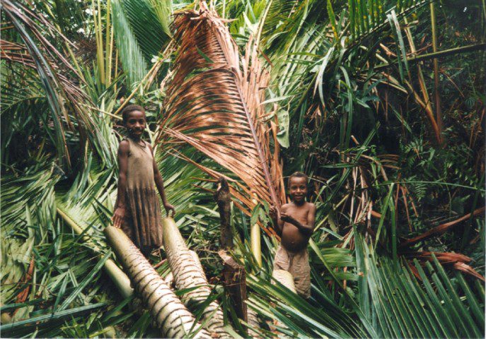 Image of two children from Kagiru village with a Sago palm