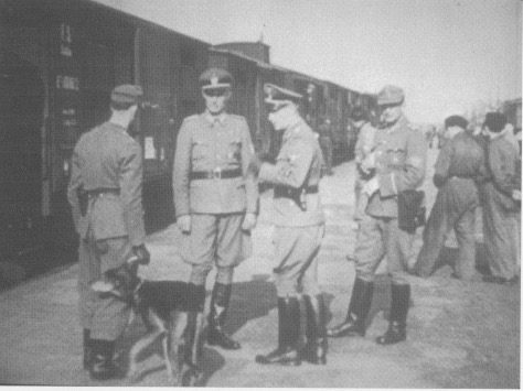 German soldiers with dog next to train