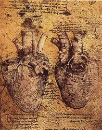 Anatomical drawings of heart with notes