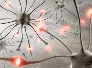 Hardwired neurons graphic