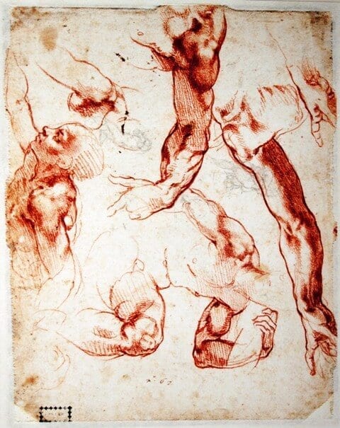 Featured image of post Dead Body Drawing Reference