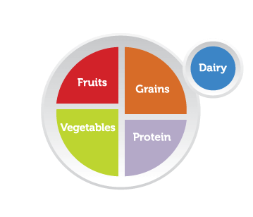 Grains and protein each take up about a fourth of the plate, while the remaining half consists of slightly more vegatables than fruits. A portion of dairy the size of about an eighth of the plate is also depicted.