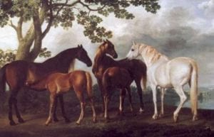 Five horses, with two feeding, in a landscape by water with a tree. The horses are varying hues of brown and chestnut with one white horse on the right.
