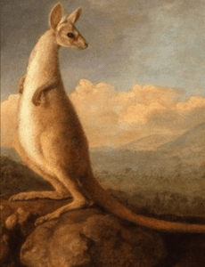 Small depiction of a kangaroo, lacking a pouch