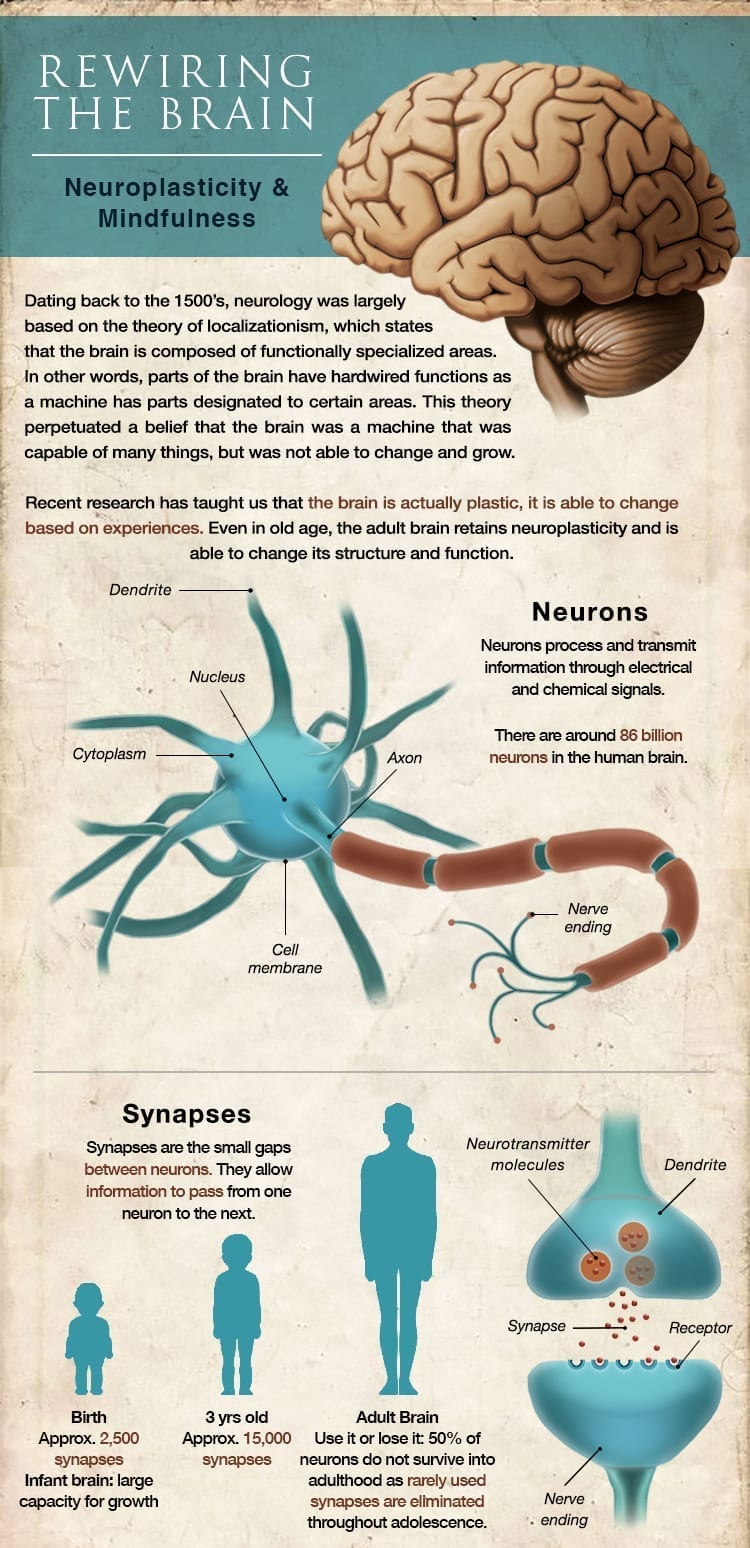 Rewiring the brain - Hektoen International