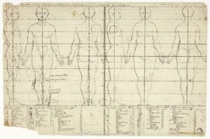 A yellowed parchment sketch of the human body in profile, from the front, and the back.