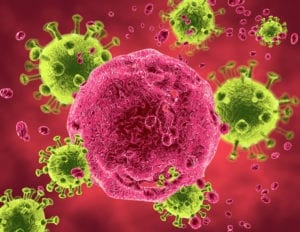 Green HIV virus infecting a lymphocyte, illustrated in pink.