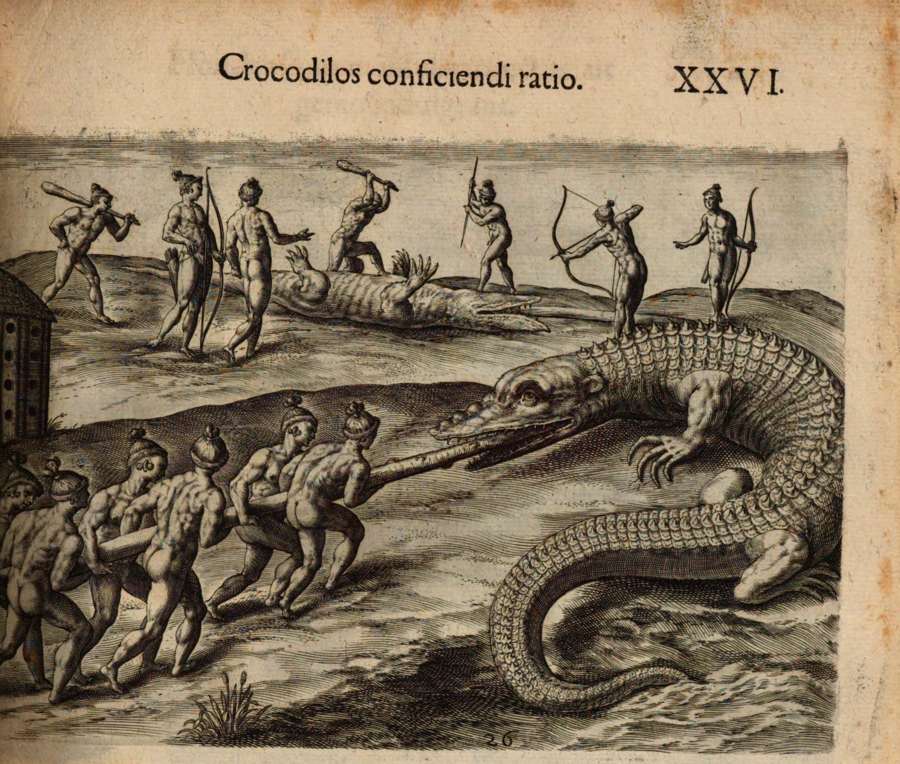 Historic illustration of native peoples fighting crocodiles, large reptiles