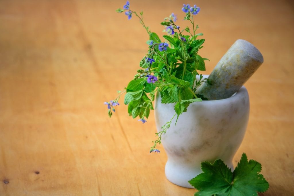 Green plants, food, in a mortar and pestle, sometimes used to crush medicine