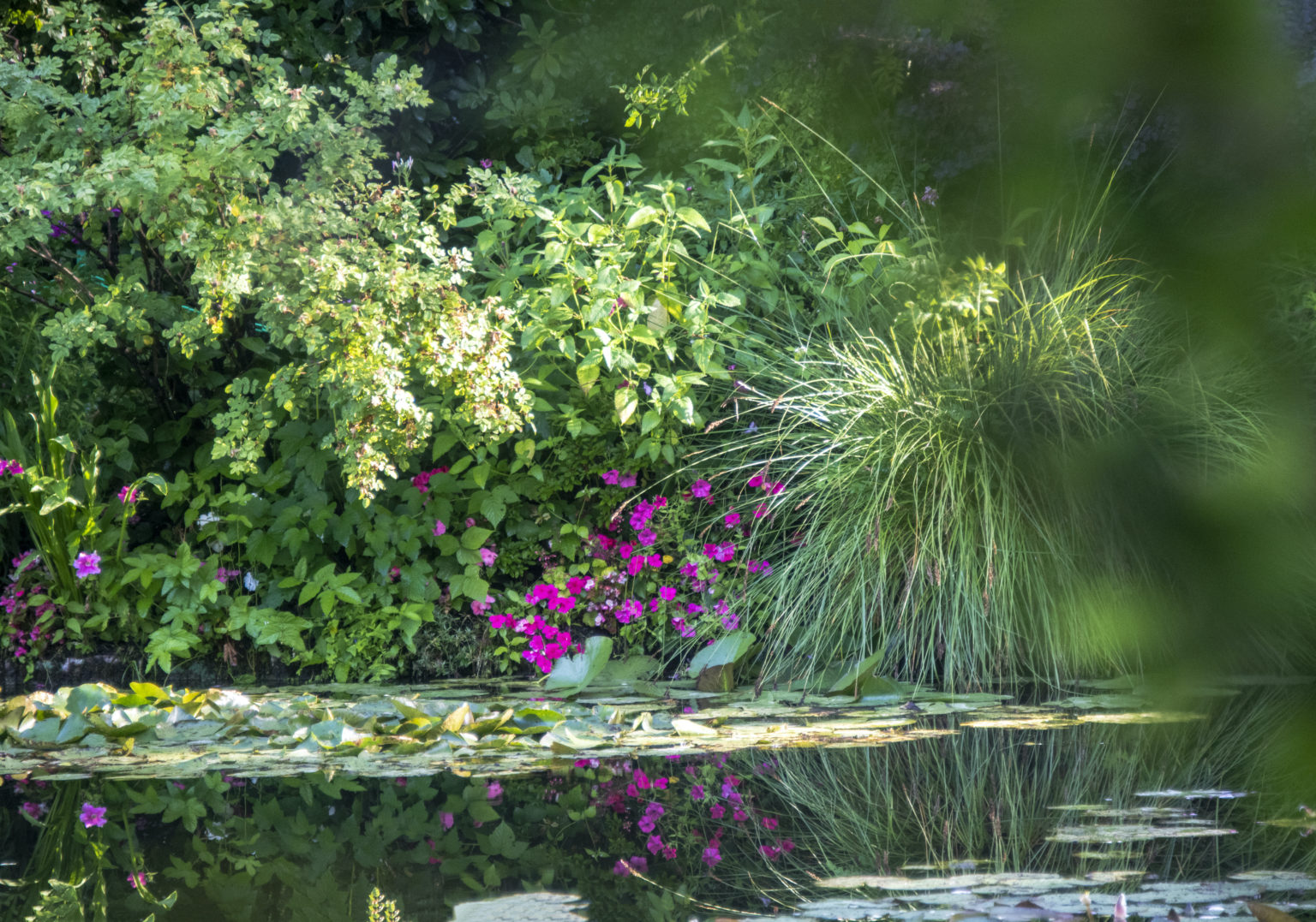 Figs. 3, 4, 5, and 6: Gardens of Giverny, France. Photography by Dr ...