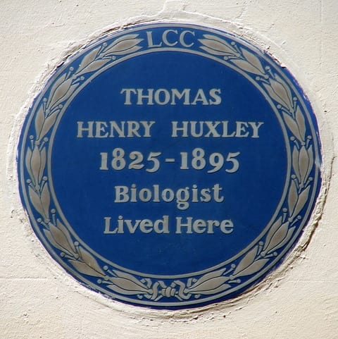 Thomas Henry Huxley Blue plaque at 38 Marlborough Place