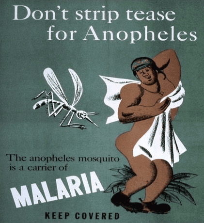 A poster urging soldiers to cover up to prevent bites from anopheles mosquitos