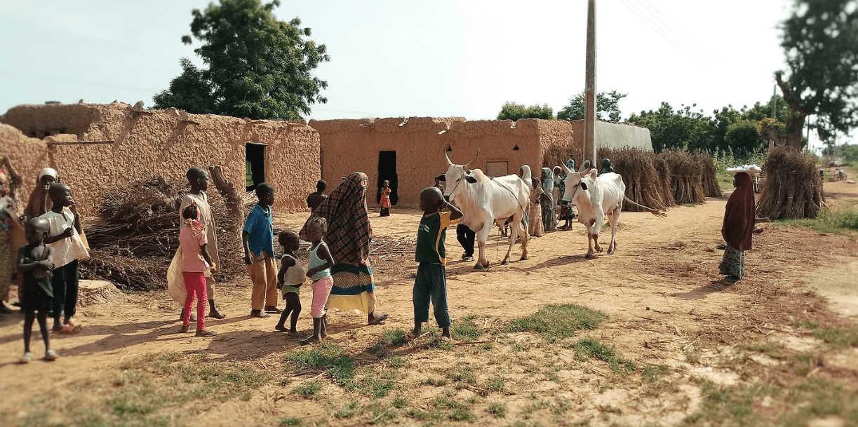 A rural village without a hospital