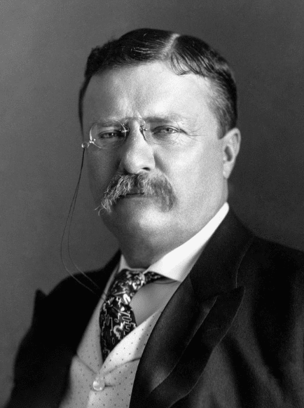 Theodore Roosevelt, who ordered the construction of the Panama Canal