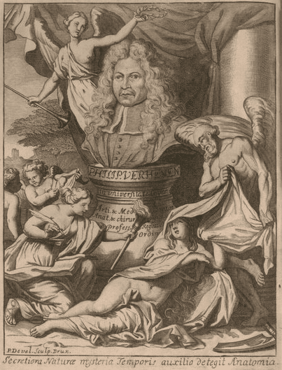 Frontispiece to anatomy text